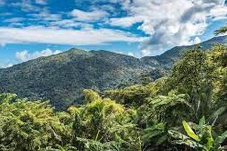 Seaside Serenity - Cozy Studio Apartment Luquillo Luaran gambar